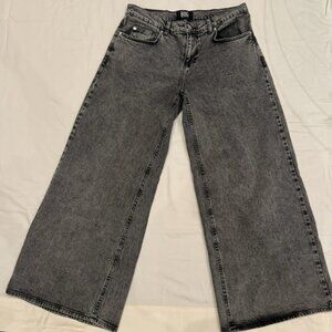 Urban Outfitters BDG Joey Full Length Wide Leg Jean in Grey Size 28